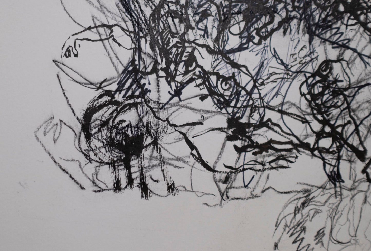 Estudio 011