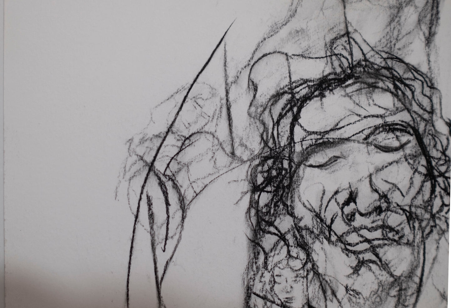 Studie 012