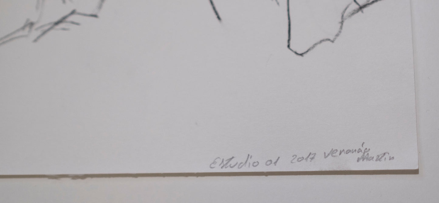 Estudio 001