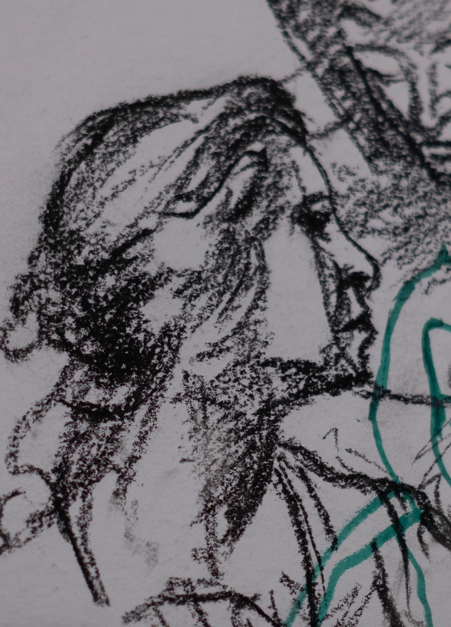Estudio 033