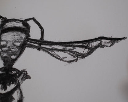 Dead bee sketch 02