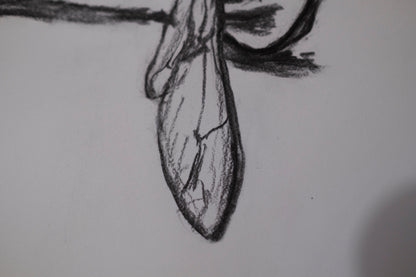 Dead bee sketch 01