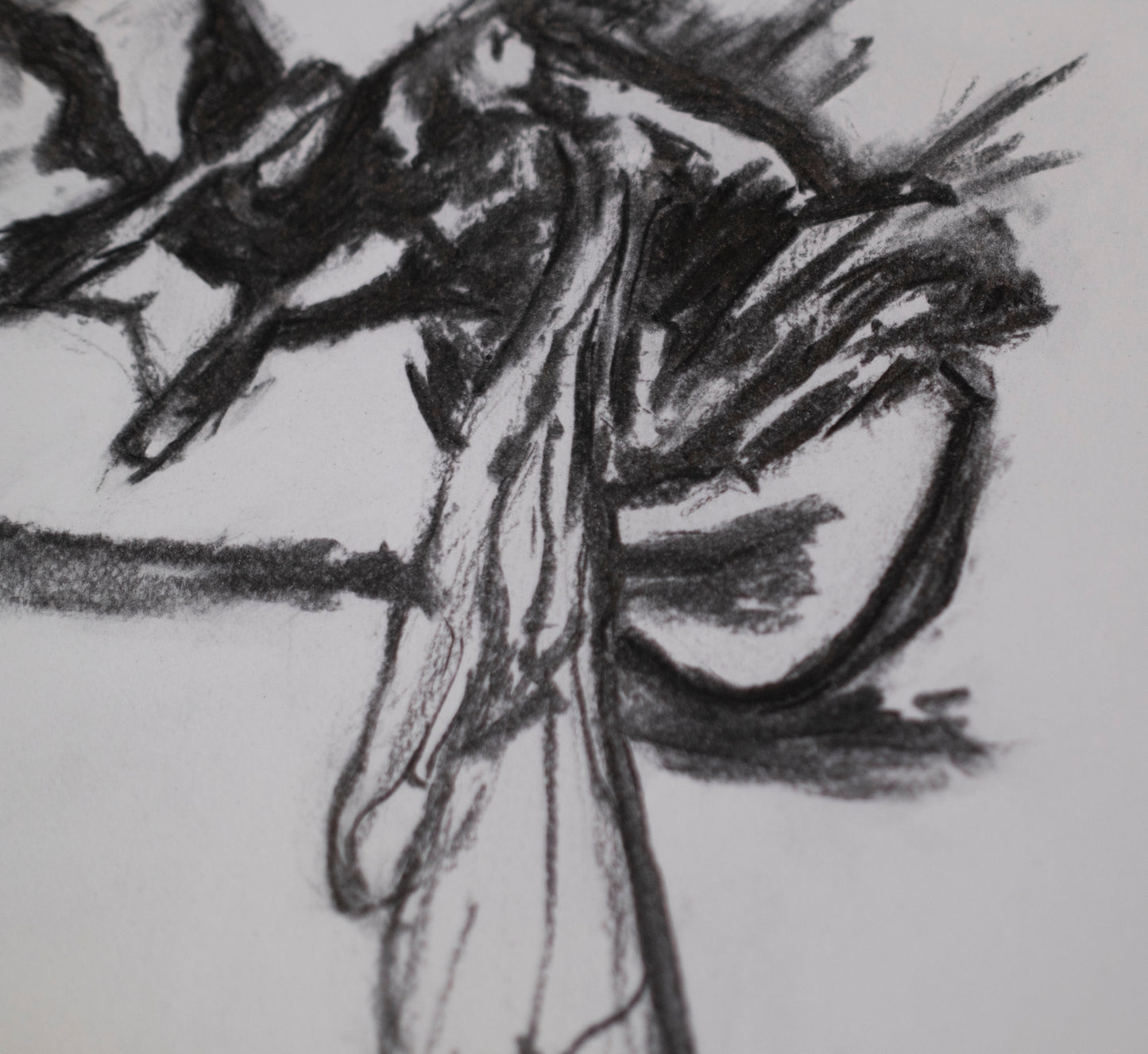 Dead bee sketch 01