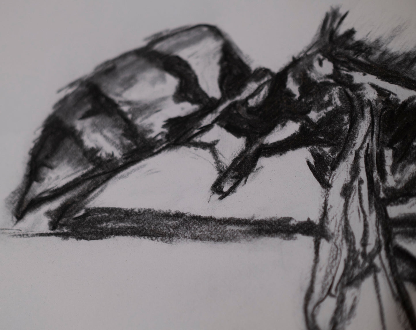 Dead bee sketch 01