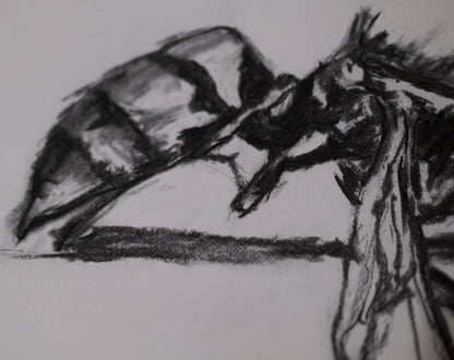 Dead bee sketch 01