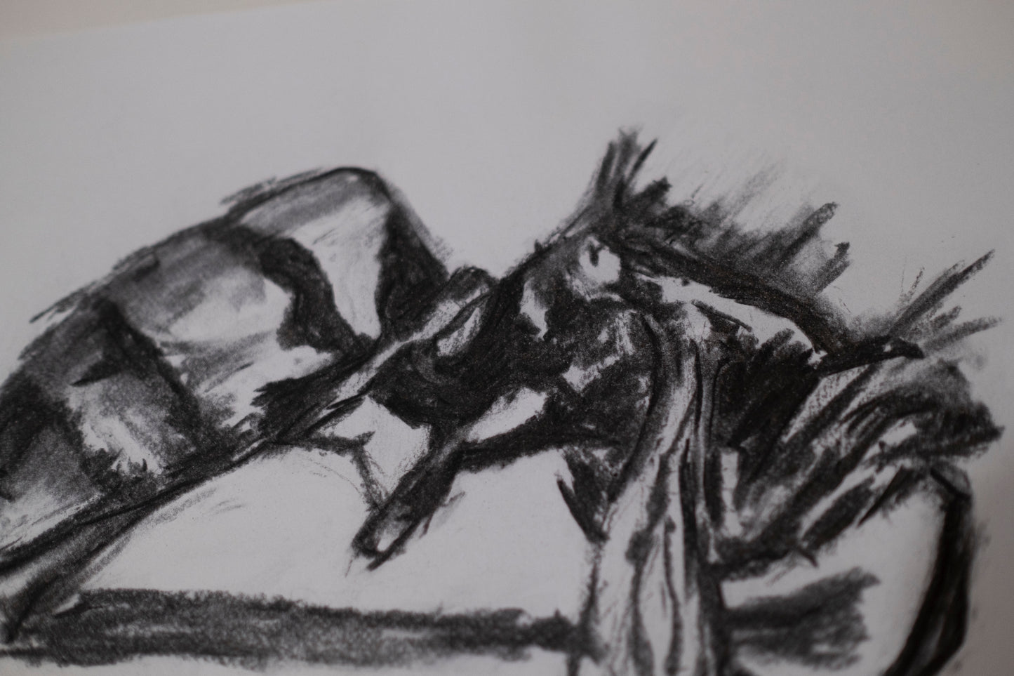 Dead bee sketch 01