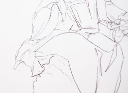 Virgin quick study