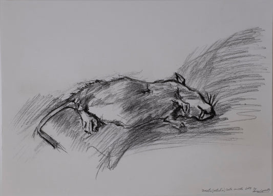 Dead rate sketch