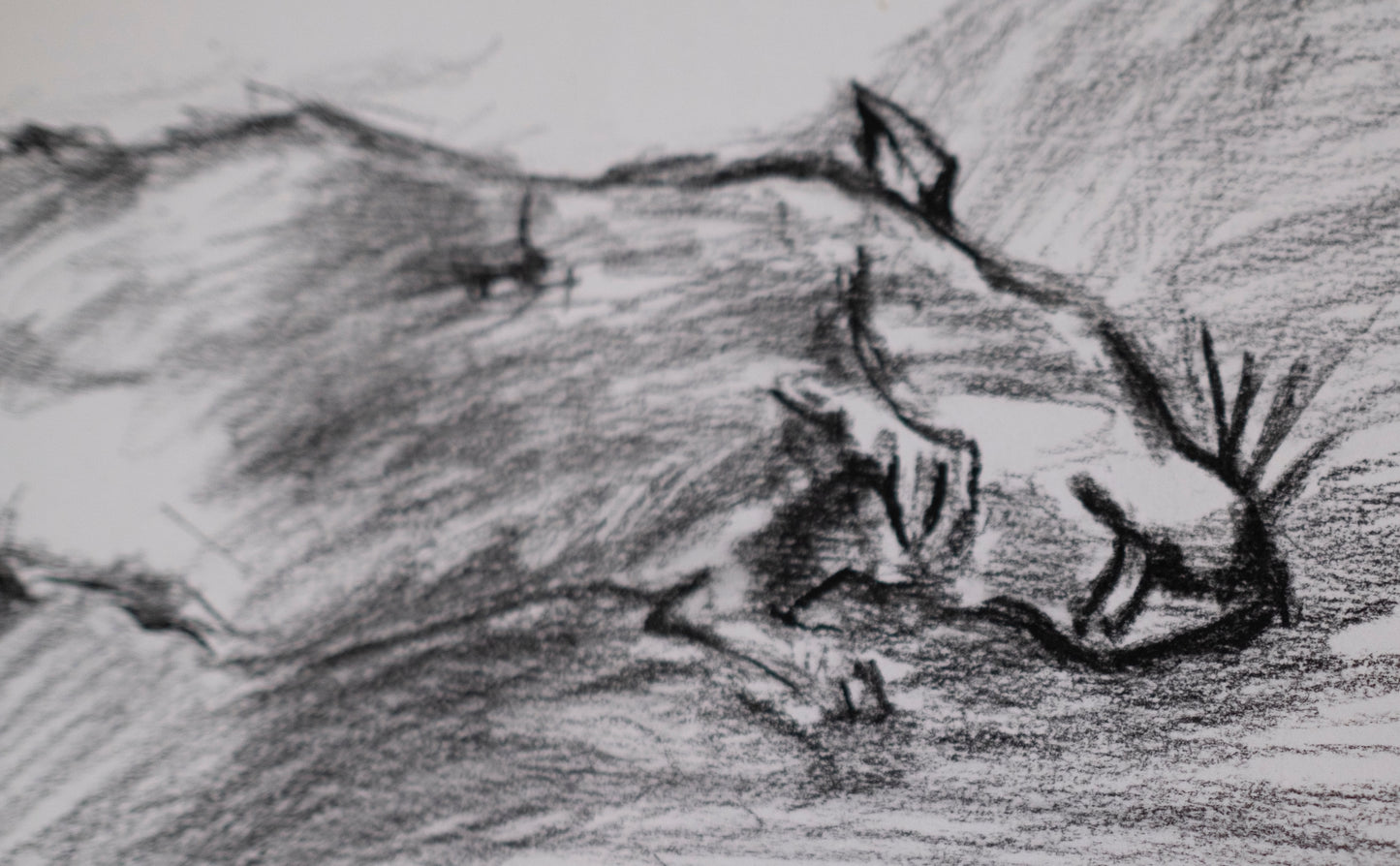 Dead rate sketch
