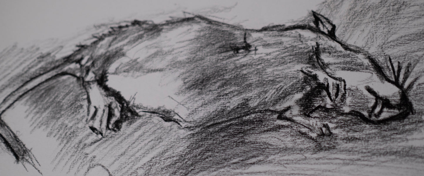 Dead rate sketch