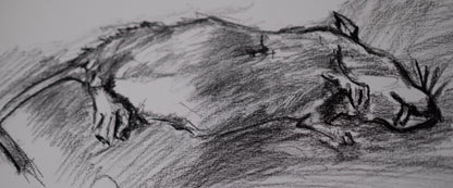 Dead rate sketch