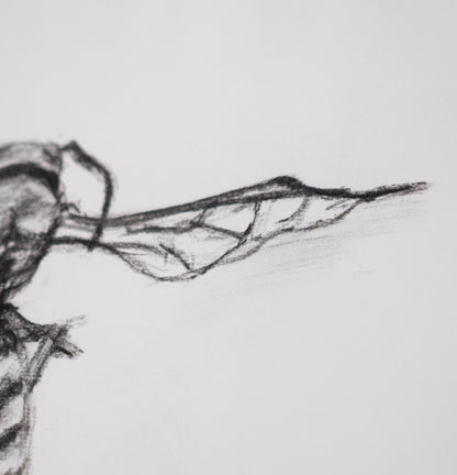 Dead bee sketch