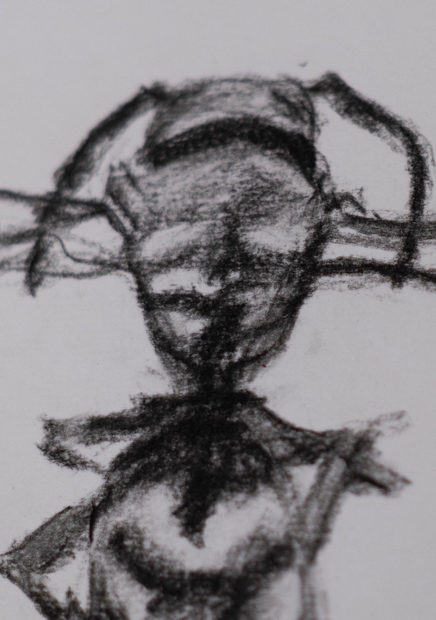 Dead bee sketch