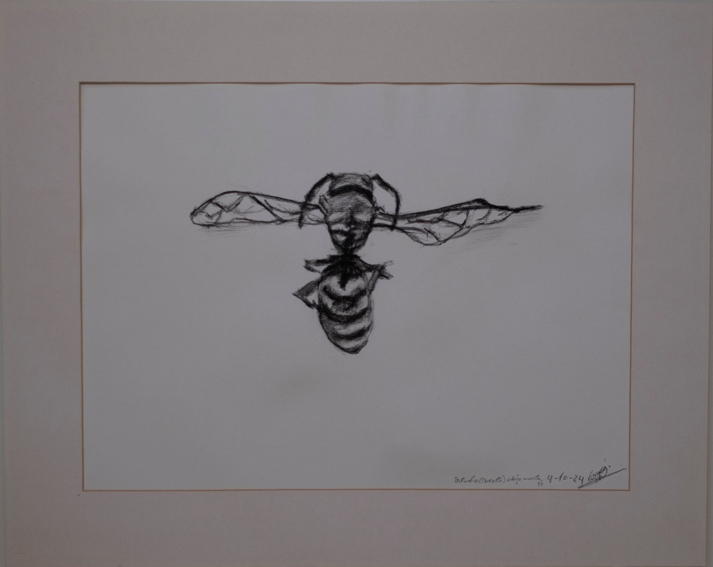 Dead bee sketch