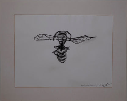 Dead bee sketch