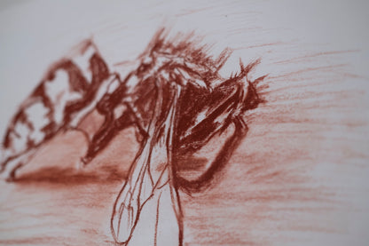 Dead bee sketch sanguina