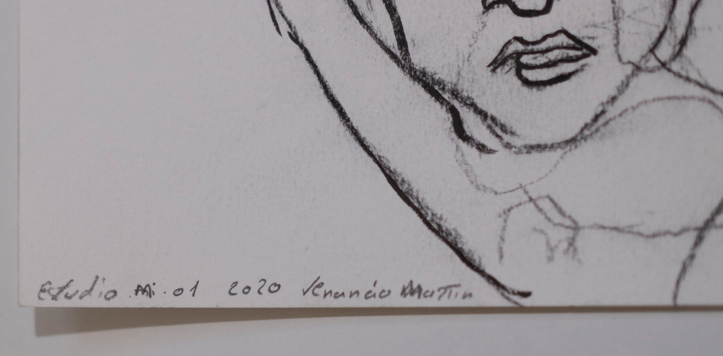 Estudio Mi 02