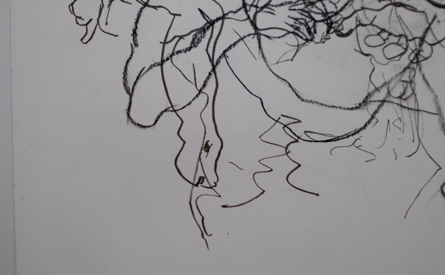 Estudio 09