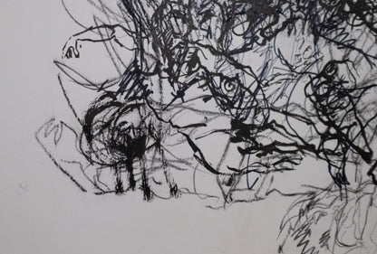 Estudio 011