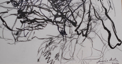 Estudio 011