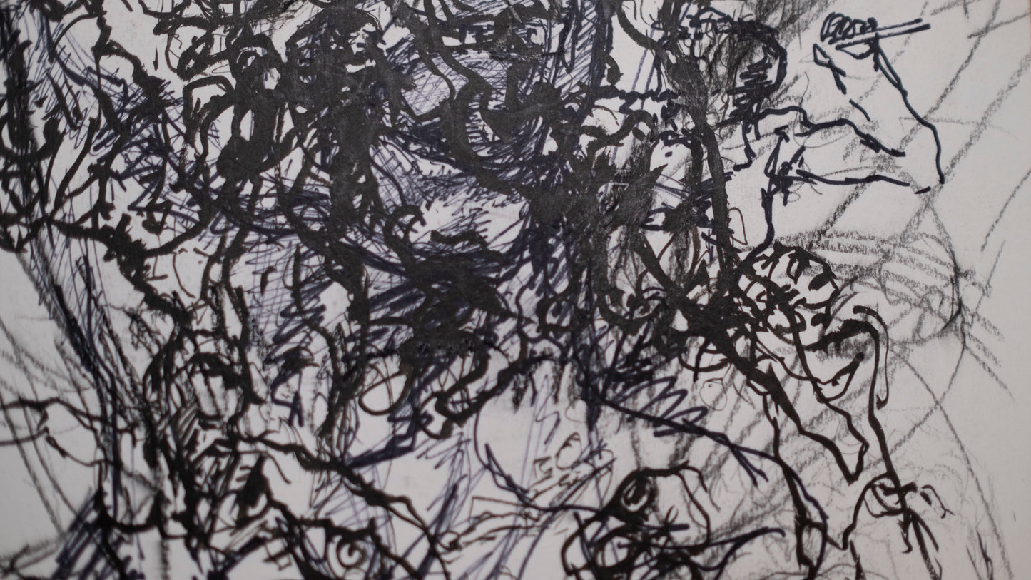 Estudio 011