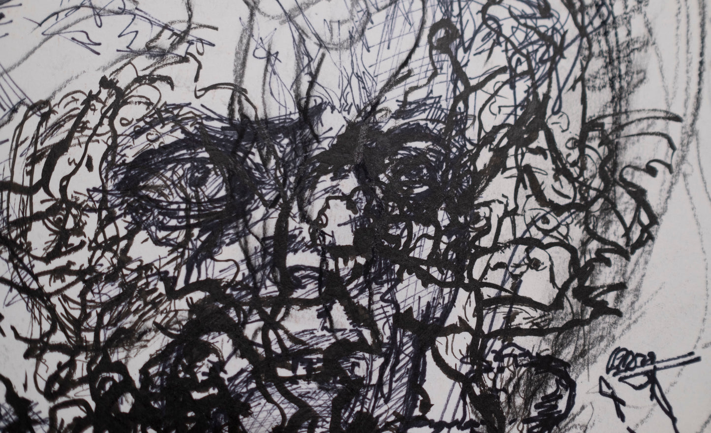 Estudio 011