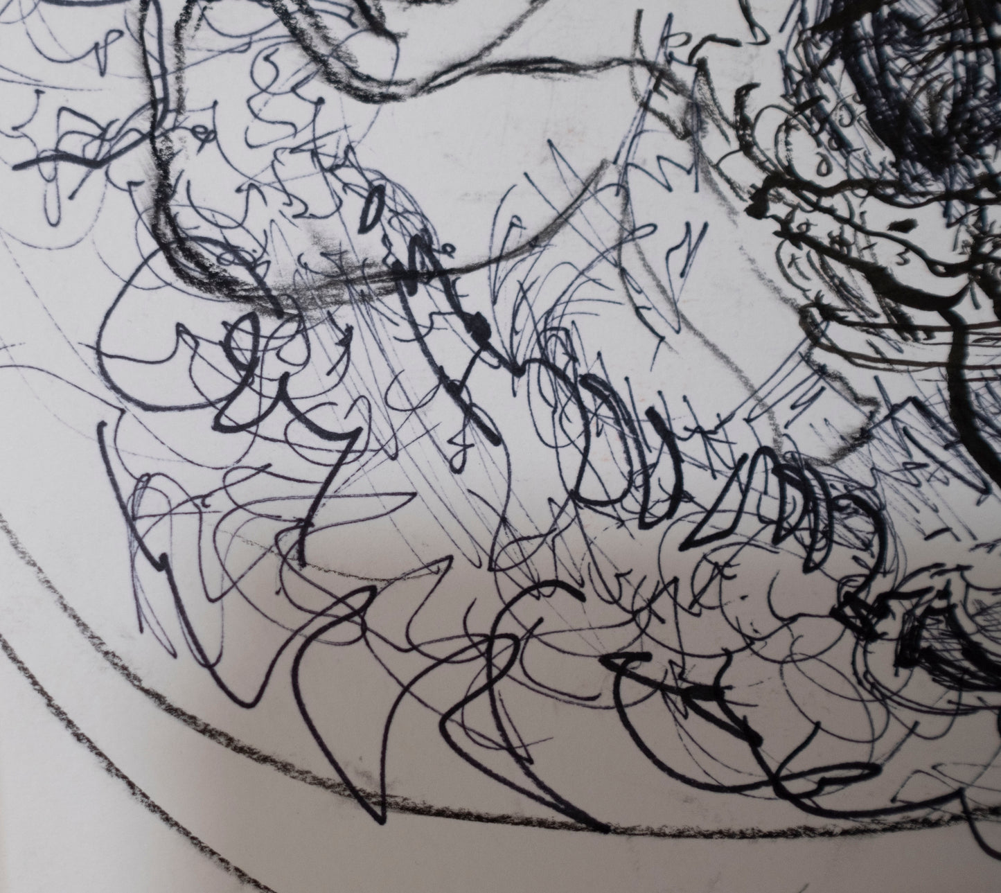 Estudio 011