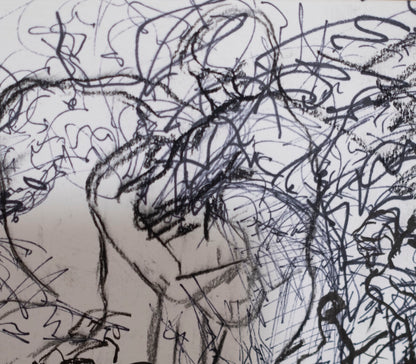 Estudio 011