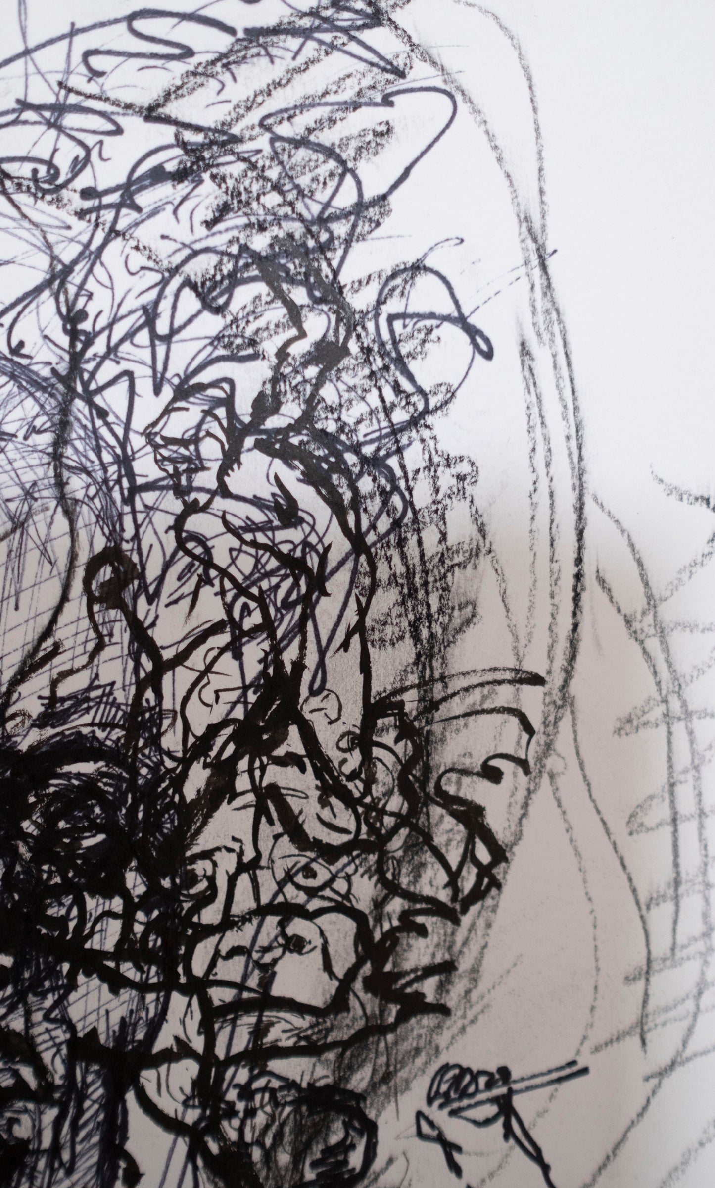 Estudio 011