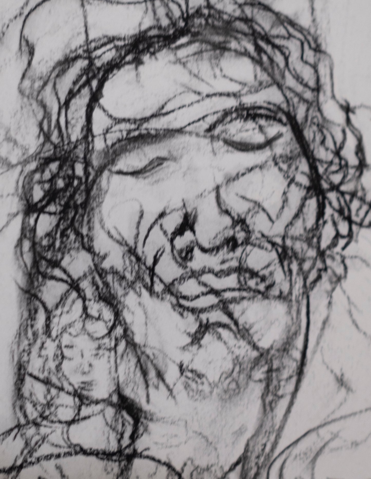 Estudio 012