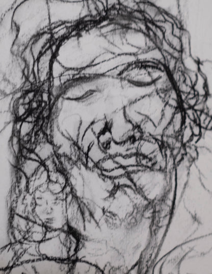 Estudio 012