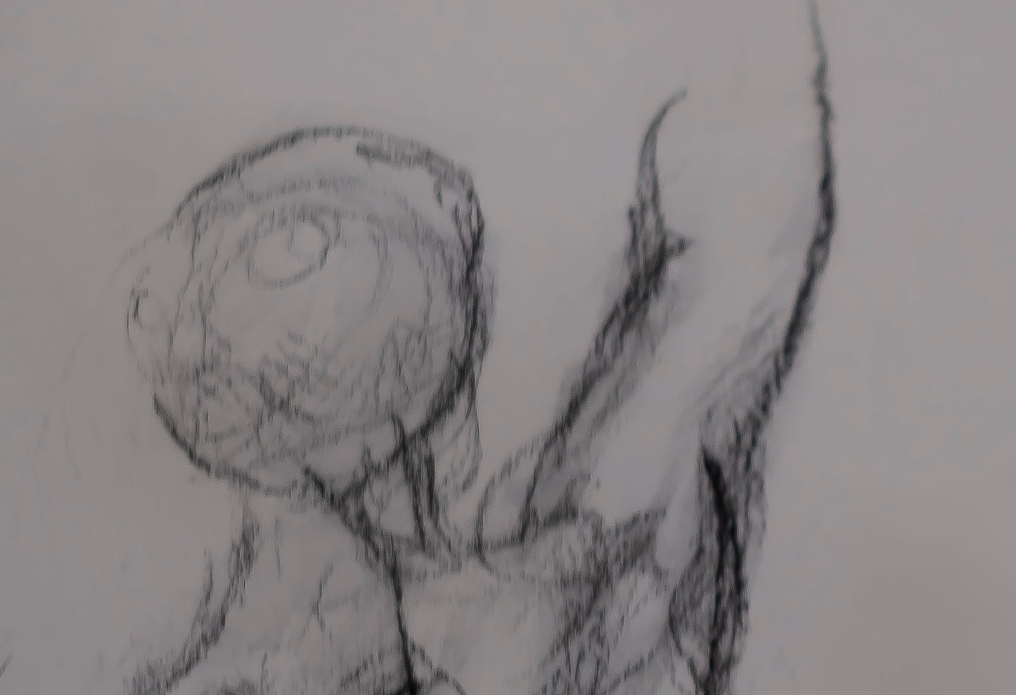 Estudio 012