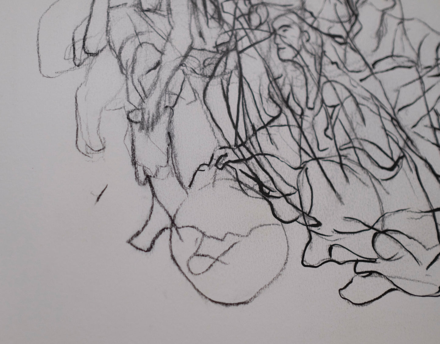 Estudiio 014