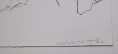 Estudio 001