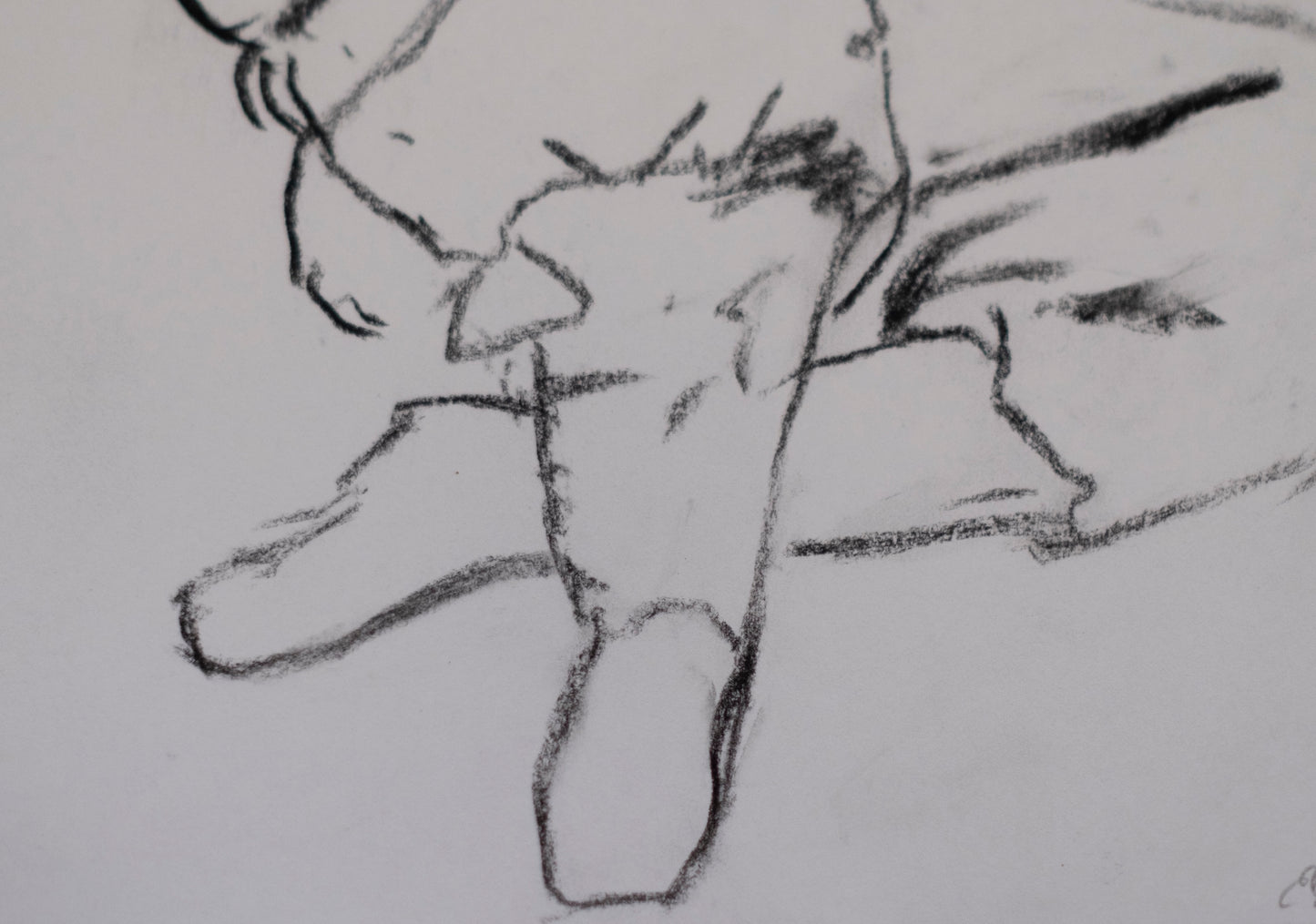 Bufón